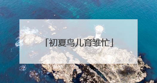 初夏鸟儿育雏忙