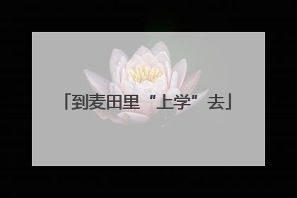 到麦田里“上学”去