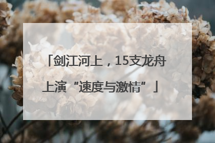 剑江河上，15支龙舟上演“速度与激情”