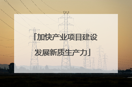 加快产业项目建设 发展新质生产力