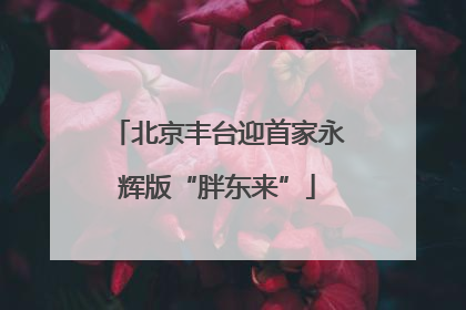 北京丰台迎首家永辉版“胖东来”