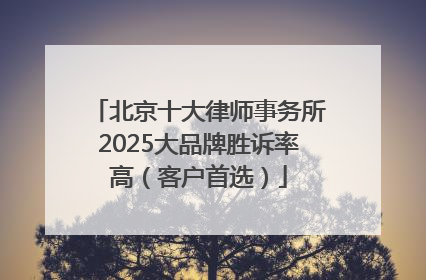 北京十大律师事务所2025大品牌胜诉率高（客户首选）