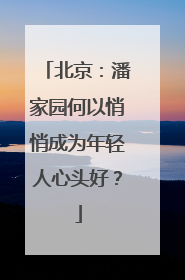 北京：潘家园何以悄悄成为年轻人心头好？