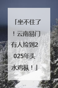 坐不住了！云南易门有人捡到2025年头水鸡枞！