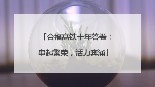 合福高铁十年答卷：串起繁荣，活力奔涌