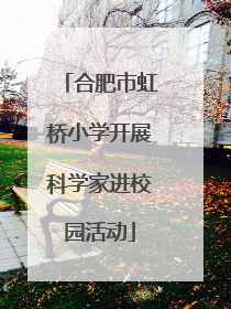 合肥市虹桥小学开展科学家进校园活动