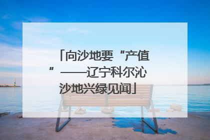 向沙地要“产值”——辽宁科尔沁沙地兴绿见闻