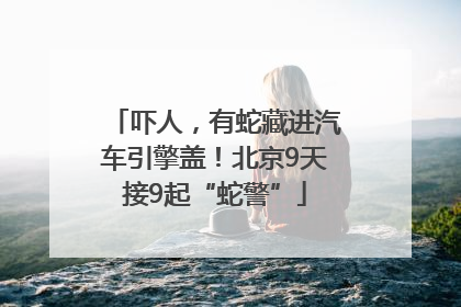 吓人，有蛇藏进汽车引擎盖！北京9天接9起“蛇警”