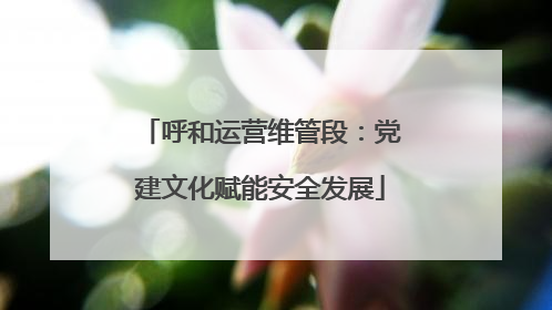 呼和运营维管段：党建文化赋能安全发展