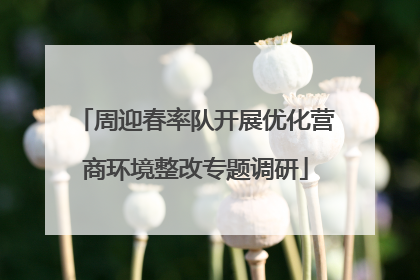 周迎春率队开展优化营商环境整改专题调研