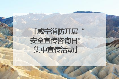 咸宁消防开展“安全宣传咨询日”集中宣传活动