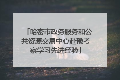哈密市政务服务和公共资源交易中心赴豫考察学习先进经验