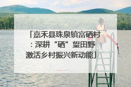 嘉禾县珠泉镇富硒村：深耕“硒”望田野 激活乡村振兴新动能