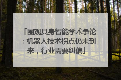 围观具身智能学术争论：机器人技术拐点仍未到来，行业需要纠偏