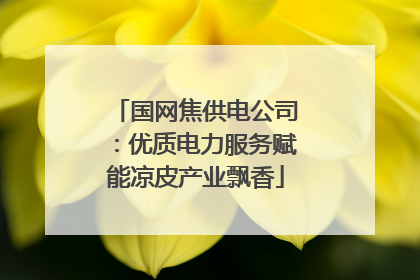 国网焦供电公司：优质电力服务赋能凉皮产业飘香