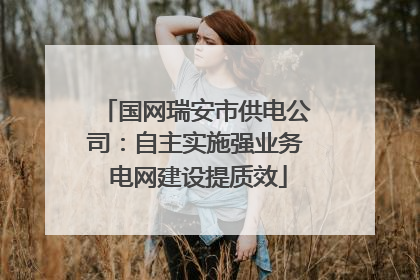 国网瑞安市供电公司：自主实施强业务 电网建设提质效