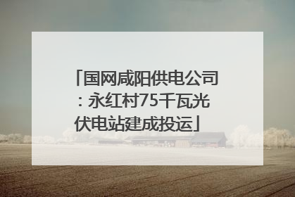 国网咸阳供电公司：永红村75千瓦光伏电站建成投运