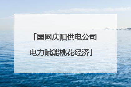 国网庆阳供电公司电力赋能桃花经济