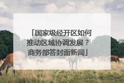 国家级经开区如何推动区域协调发展？商务部答封面新闻