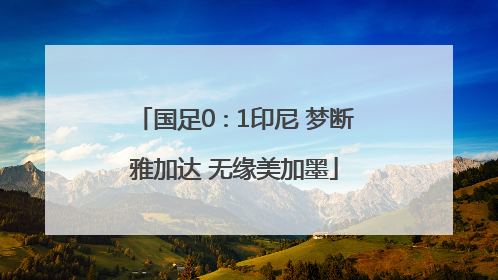 国足0∶1印尼 梦断雅加达 无缘美加墨