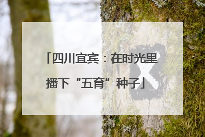 四川宜宾：在时光里播下“五育”种子