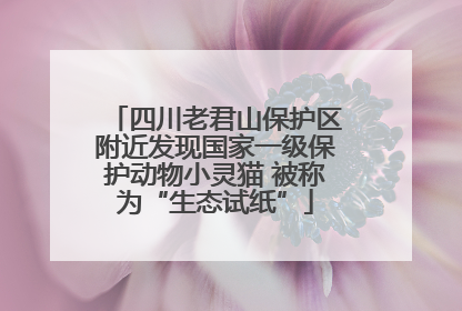 四川老君山保护区附近发现国家一级保护动物小灵猫 被称为“生态试纸”