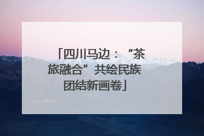 四川马边：“茶旅融合”共绘民族团结新画卷