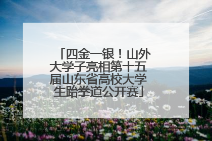 四金一银！山外大学子亮相第十五届山东省高校大学生跆拳道公开赛