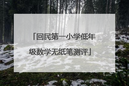 回民第一小学低年级数学无纸笔测评
