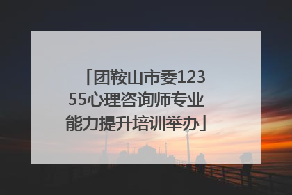 团鞍山市委12355心理咨询师专业能力提升培训举办