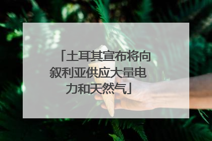 土耳其宣布将向叙利亚供应大量电力和天然气