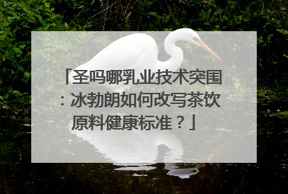 圣吗哪乳业技术突围：冰勃朗如何改写茶饮原料健康标准？