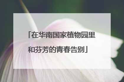 在华南国家植物园里和芬芳的青春告别