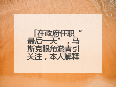 在政府任职“最后一天”，马斯克眼角淤青引关注，本人解释：儿子干的