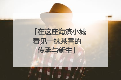 在这座海滨小城 看见一抹茶香的传承与新生
