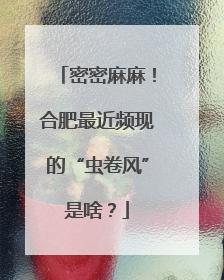 密密麻麻！合肥最近频现的“虫卷风”是啥？