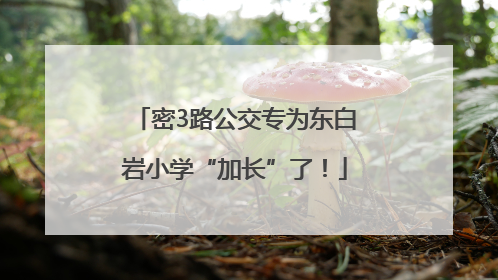 密3路公交专为东白岩小学“加长”了！
