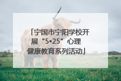 宁国市宁阳学校开展“5•25”心理健康教育系列活动