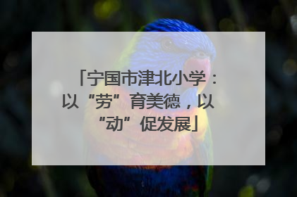 宁国市津北小学：以“劳”育美德，以“动”促发展