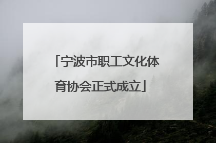 宁波市职工文化体育协会正式成立