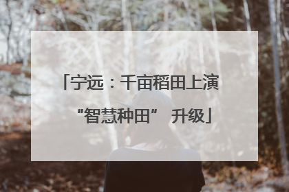 宁远：千亩稻田上演 “智慧种田” 升级