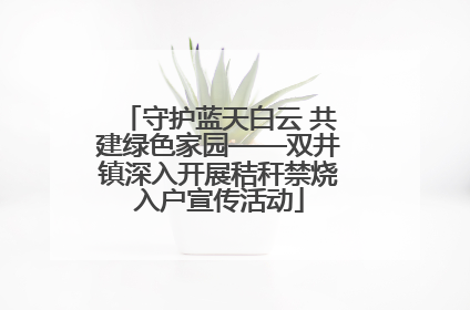 守护蓝天白云 共建绿色家园——双井镇深入开展秸秆禁烧入户宣传活动