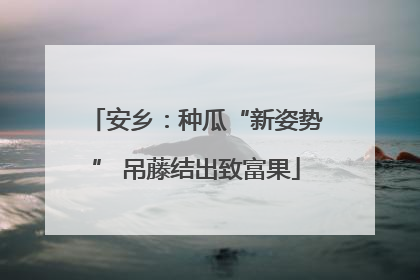 安乡：种瓜“新姿势” 吊藤结出致富果