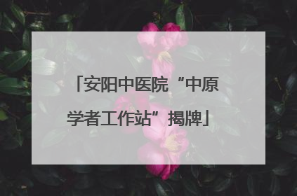 安阳中医院“中原学者工作站”揭牌