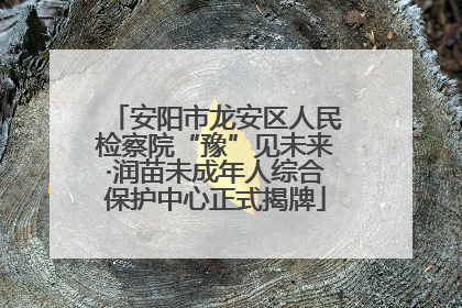 安阳市龙安区人民检察院“豫”见未来·润苗未成年人综合保护中心正式揭牌