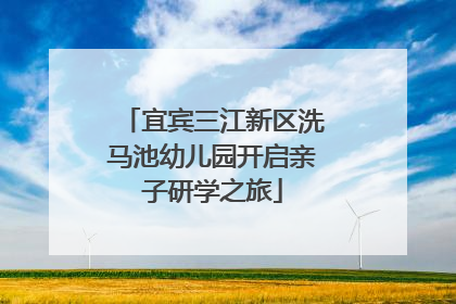 宜宾三江新区洗马池幼儿园开启亲子研学之旅