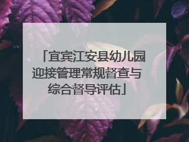 宜宾江安县幼儿园迎接管理常规督查与综合督导评估