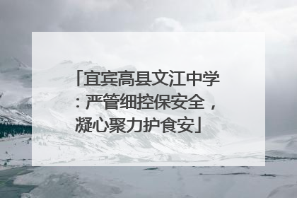 宜宾高县文江中学：严管细控保安全，凝心聚力护食安