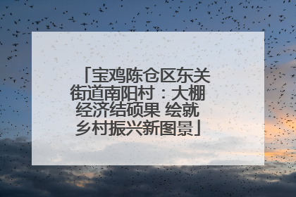 宝鸡陈仓区东关街道南阳村：大棚经济结硕果 绘就乡村振兴新图景
