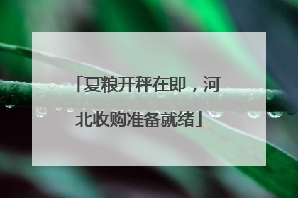 夏粮开秤在即，河北收购准备就绪